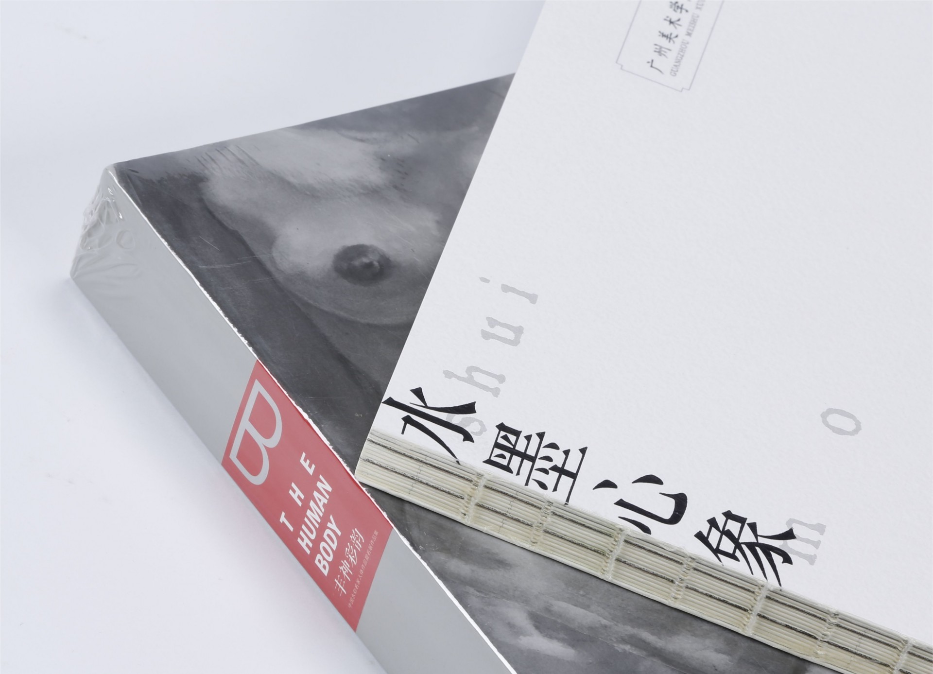 精裝藝術畫冊